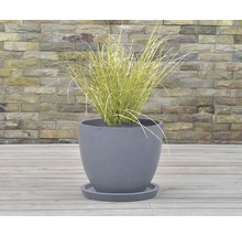 Pot de fleurs avec plante sur une terrasse