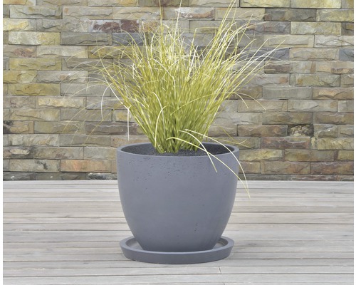 Pot de fleurs avec plante sur une terrasse
