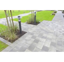 Chemin de jardin avec pavés en béton et éclairages extérieurs