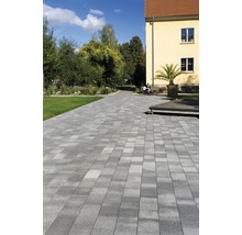 Chemin pavé traversant un parc avec des arbres et un bâtiment