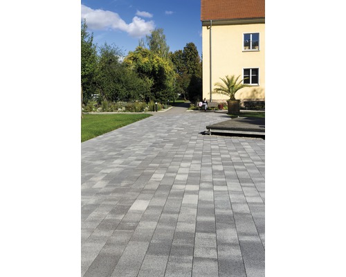 Chemin pavé traversant un parc avec des arbres et un bâtiment