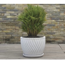 Plante dans un pot blanc à motif tourbillonnant sur une terrasse en bois