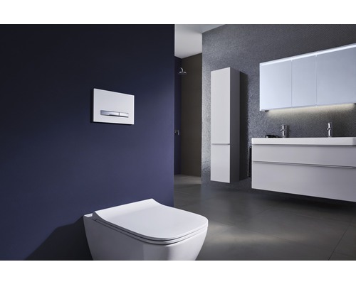 Salle de bains moderne avec WC suspendu, plaque de commande, lavabo et armoire de toilette