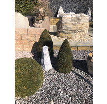 Espace de jardin aménagé avec pierres, gravier et arbustes taillés