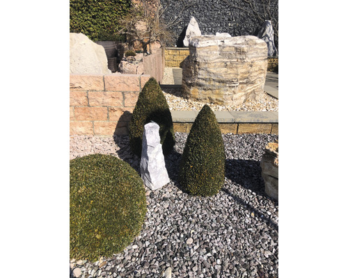 Gestalteter Gartenbereich mit Steinen, Kies und geschnittenen Büschen