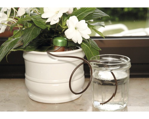 Système d''arrosage pour plantes avec réservoir d''eau