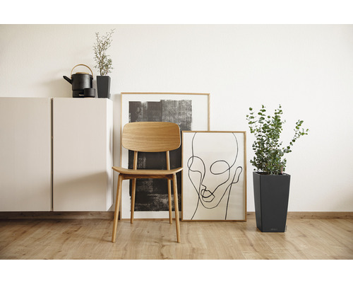 Scène d''intérieur moderne : armoire, chaise, plantes et cadres.