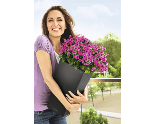 Femme tenant un bac à fleurs noir avec des fleurs violettes sur le balcon