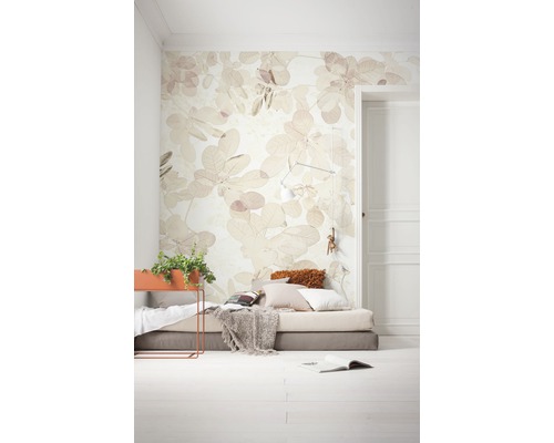 Pièce lumineuse avec papier peint photo à motif de feuilles, matelas et jardinière