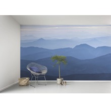 Raumgestaltung mit Bergpanorama-Fototapete, Drahtsessel, Kissen, Korb und Zimmerpflanze