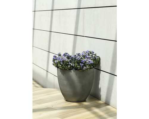 Pot de fleurs avec des fleurs sur une terrasse