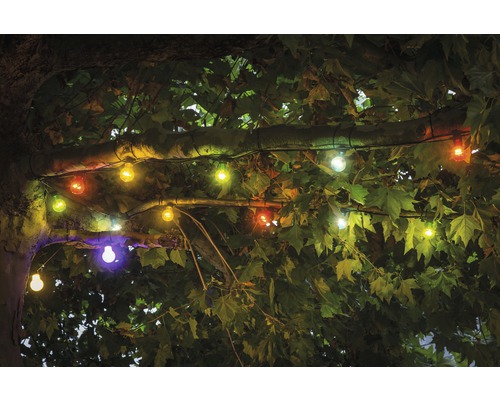 Konstsmide Guirlande lumineuse décorative LED Fleurs, 20 LED, 1.9 m,  intérieur