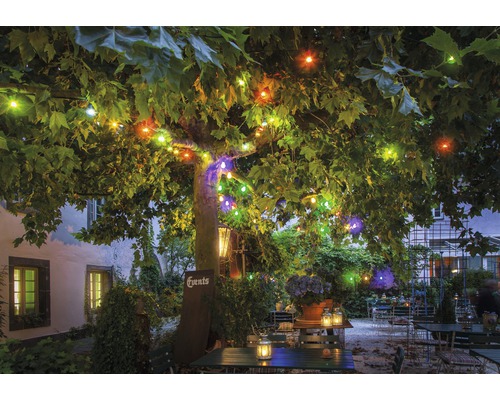 Arbres décorés avec des guirlandes lumineuses dans un espace extérieur avec tables et chaises.