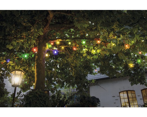 Arbre avec guirlande lumineuse multicolore et lanterne extérieure