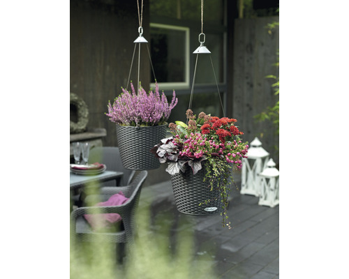 Deux suspensions fleuries avec des fleurs à l''extérieur.