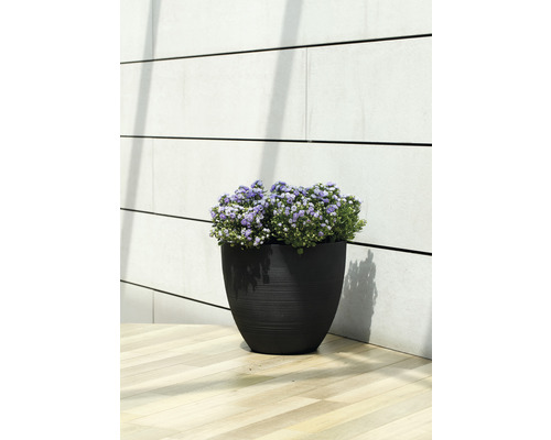 Pot de fleurs noir avec des fleurs violettes sur un plancher en bois