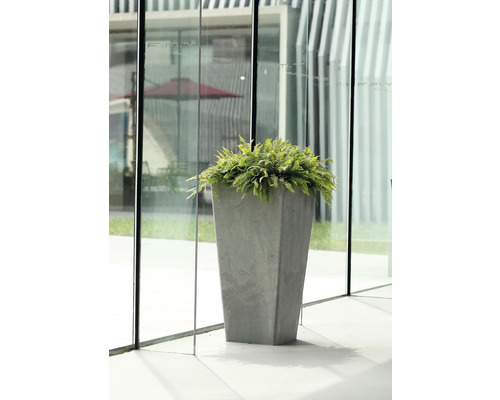 Haut bac à plantes en pierre avec fougère devant une façade en verre