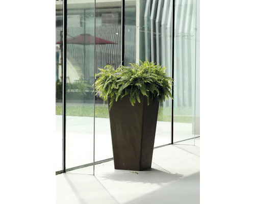 Jardinière haute avec fougère devant une façade en verre