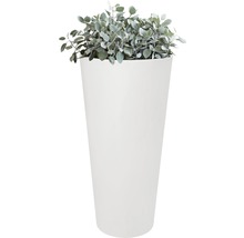 Haut pot de fleurs avec plante