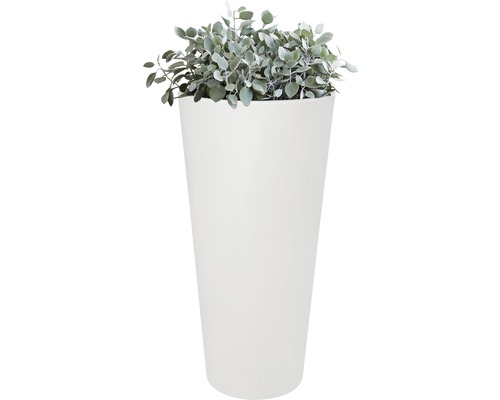 Haut pot de fleurs avec plante