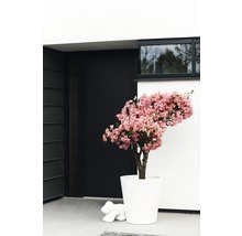 Arbre décoratif à fleurs roses dans un pot blanc à côté d''une porte