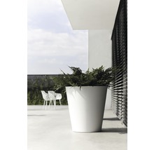 Haut pot de fleurs blanc avec plante sur une terrasse.