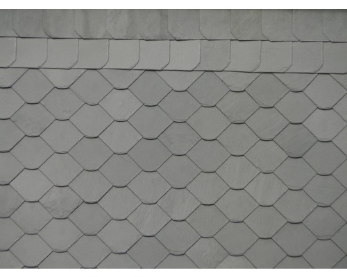 Toit avec couverture en ardoise