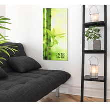 Wohnzimmer mit Bambusbild, Schlafcouch und Regal