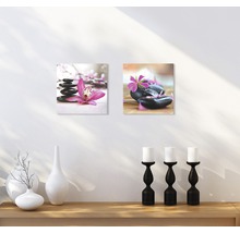Zwei Wandbilder mit Stein- und Blumenmotiven über einem Regal mit Dekoration