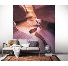 Wandbild mit Canyonmotiv hinter einem Sofa