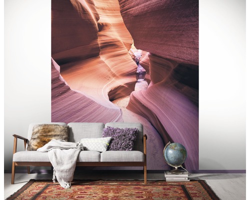 Image murale avec motif de canyon derrière un canapé