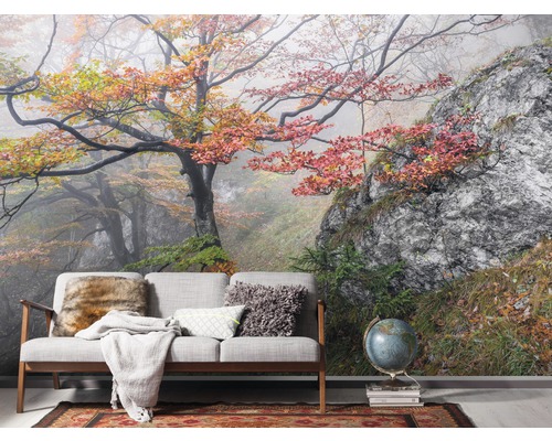 Papier peint photo avec motif d''arbre et de rocher derrière un canapé