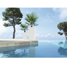 Zwei schlanke, hohe Pflanzkübel aus Kunststoff mit Pflanzen neben einem Pool.