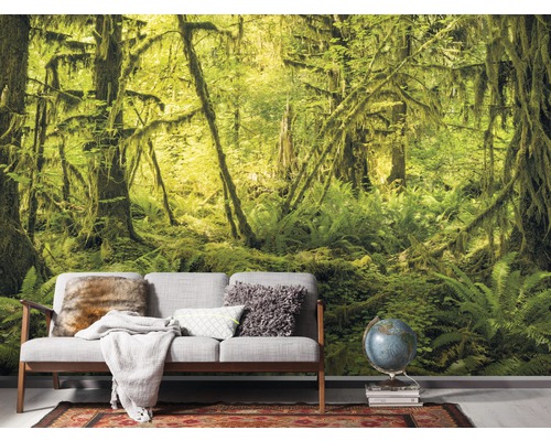 Papier peint photo avec motif de forêt derrière un canapé