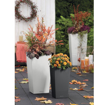 Szene mit zwei Pflanzgefäßen und Herbstdekoration im Freien