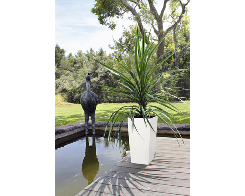 Hohe Pflanze in einem Pflanzgefäß auf einer Holzterrasse neben einem Gartenteich mit einer Straußenskulptur