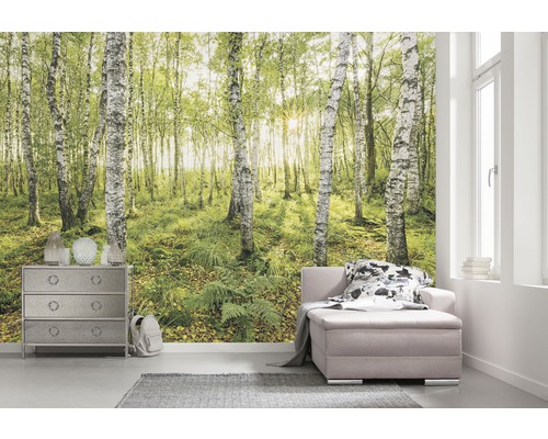 Pièce à vivre avec papier peint photo forêt de bouleaux, commode et canapé