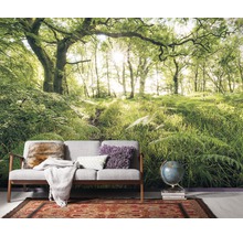 Fototapete Vlies SH045-VD4 Stefan Hefele Ed 1 Mystic Path 4-tlg. 400 x 250 cm