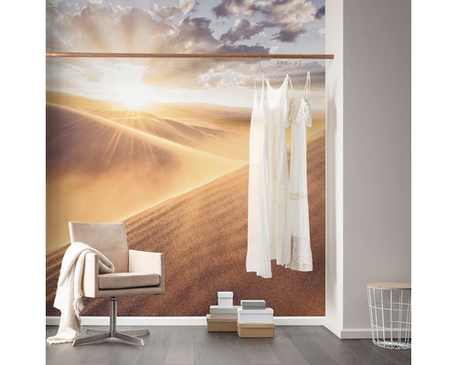 Pièce à vivre avec papier peint désert, tringle à vêtements et chaise