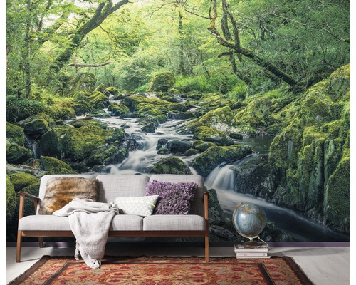 Papier peint photo avec paysage forestier, rivière et mousse sur les pierres dans l''espace de vie