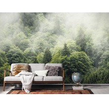Papier peint panoramique intissé SH061-VD4 Stefan Hefele Ed 1 Forest Land 4 pces 400 x 250 cm
