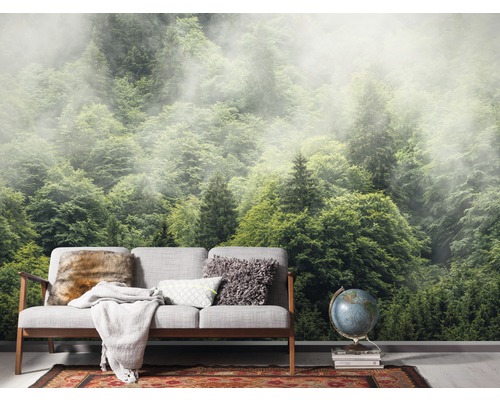 Salon avec papier peint photo d''une forêt brumeuse et un canapé