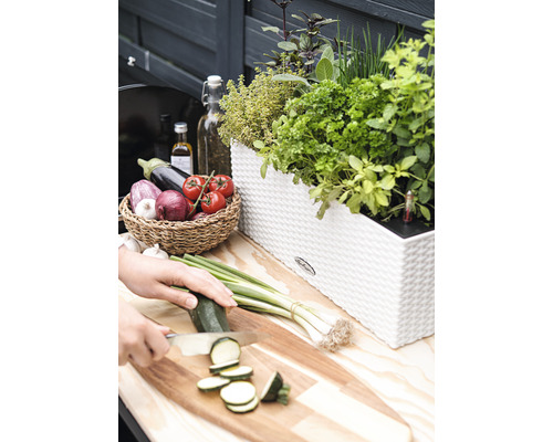 Szene mit Kräutergarten in einem Topf, Gemüse in einem Korb und einer Person, die Zucchini auf einem Schneidebrett schneidet