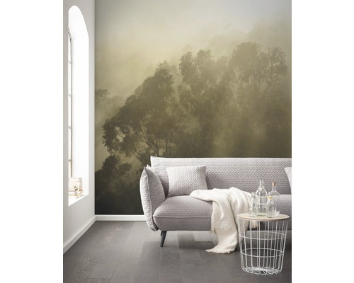 Salon avec papier peint photo d''une forêt dans le brouillard, canapé et table d''appoint.