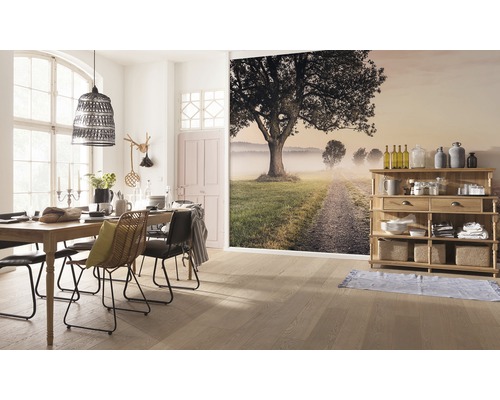 Salle à manger avec table en bois, chaises, lampe et papier peint avec motif de paysage.