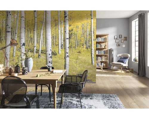 Intérieur avec papier peint photo forêt de bouleaux en automne, table à manger et bibliothèque