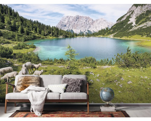 Papier peint photo avec un lac de montagne et des moutons