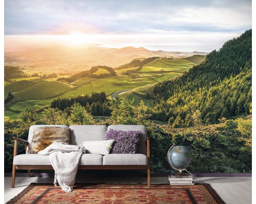 Papier peint photo avec motif de paysage derrière un canapé et un globe