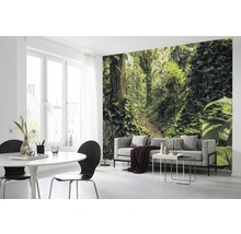 Salon avec papier peint photo d''un sentier dans la jungle, canapé et table à manger.