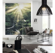 Fototapete Vlies SH075-VD2 Stefan Hefele Ed. 1 Divine 2-tlg. 200 x 250 cm